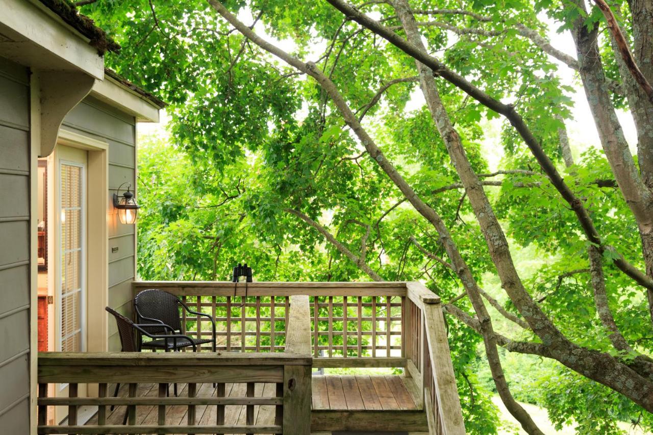 Inn And Cabins At Vaucluse Spring Stephens City 外观 照片